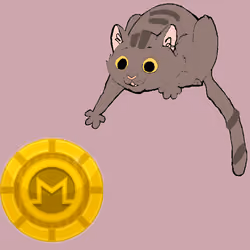 6350837724175369871207491628993880744259048437356542206956245719017553133569