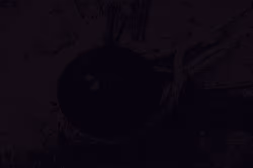 99206175731752603969632246751396839615347692654100145142238794218130712297473