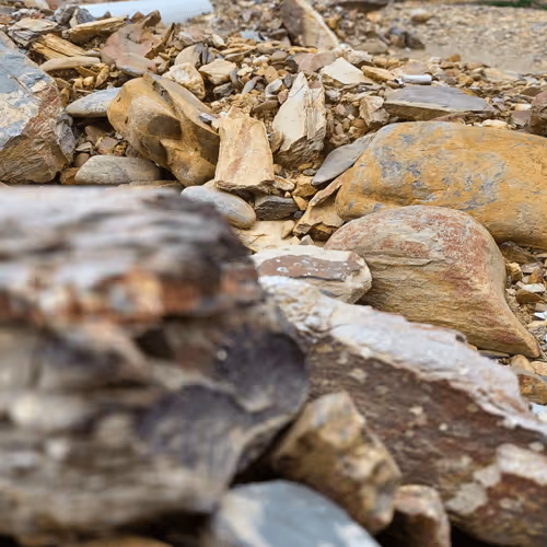 Item #32708508987210996203505439108186848896243903998336501445034175493633742995457 Media