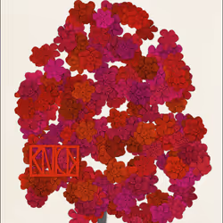 49560871776153200867828624829416347354613844027593284022244035120680121925633