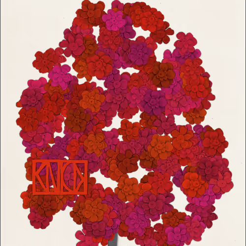 49560871776153200867828624829416347354613844027593284022244035120680121925633