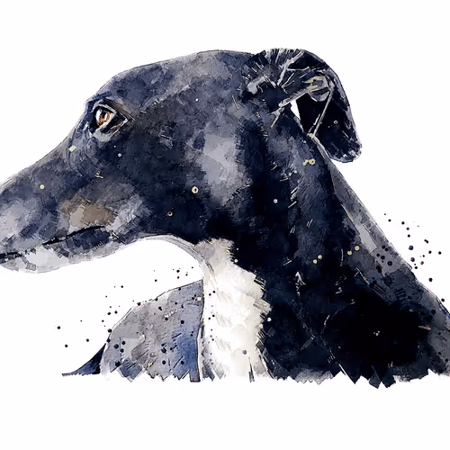 Item #15308155937593783866228062712704217529335676444312394672786838683195065499653 Media