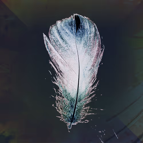 Item #72932321608233697749117711298000337470595698923978217717692158235161338576897 Media