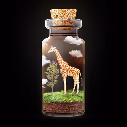 77390327673070983569044505049641160815302190689257109500438882160805211537409