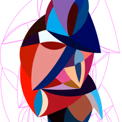 Face the Shapes First Edition
