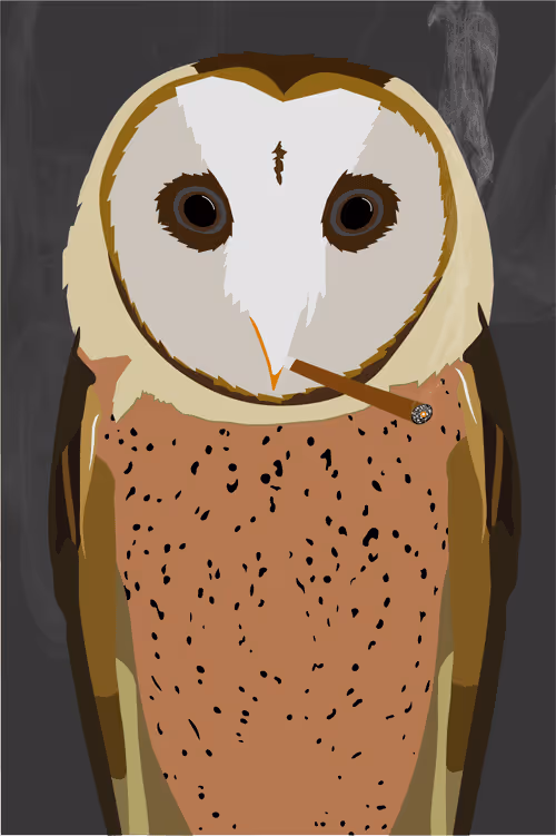 Item #46679994496108624530020148644785155104419172278486625888968681140043814797313 Media