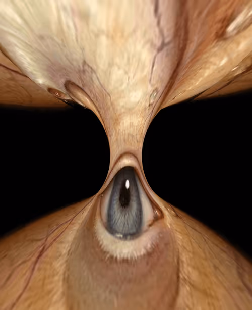 Item #47993365230904546224908061961898398429308184507692648287352000330016044875777 Media