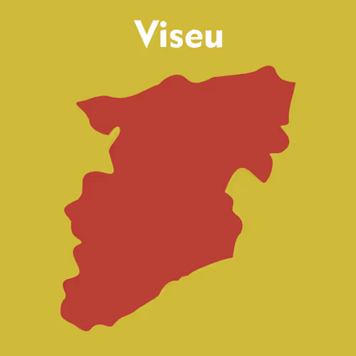 Item #53594356007989535792850162458107501771688790401863407050360661583086313537541 Media