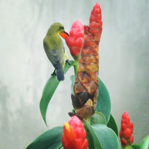 Item #94394910353456792511770389683380397167058265892134190948053464629570701361153 Media