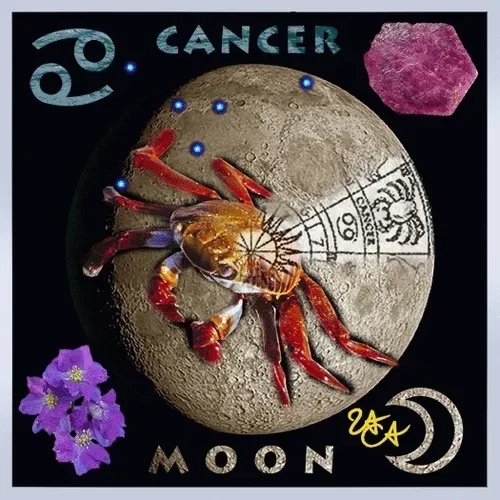 Item #60339983981198208183924633002464387266114266338716940877255950173209934954506 Media