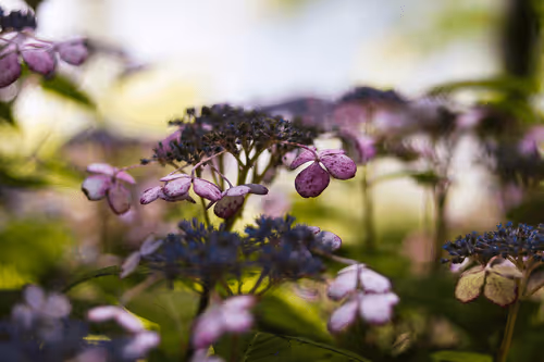 Item #108333172836631629328696584714053398631603269563571358519615745315214708441089 Media