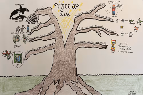 Item #53692229359044578856315240636709810173193098375060265409143394872812231458866 Media