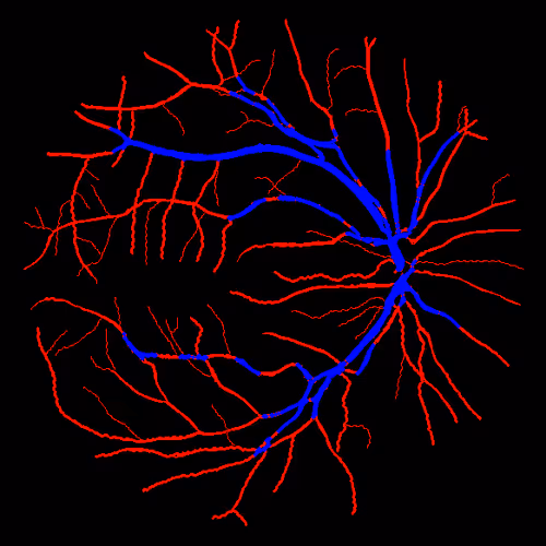 Item #7078802064077755305879053961196844759257248211509687953083585950671018393601 Media