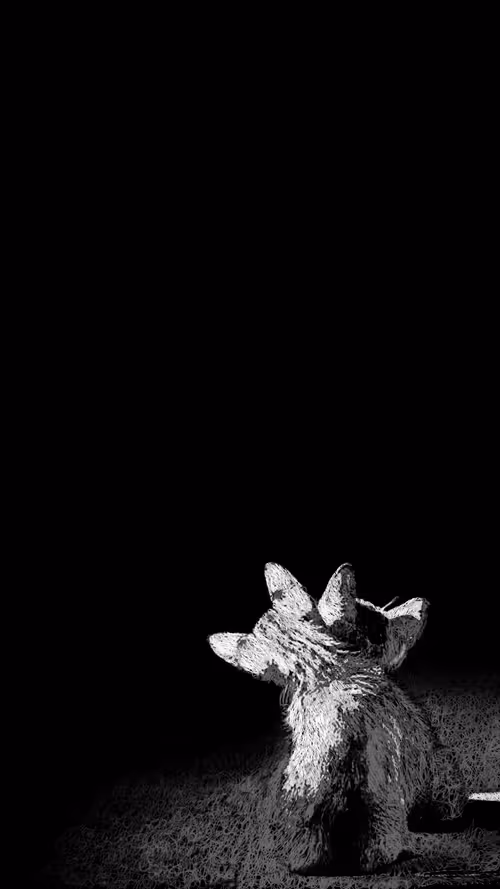 Item #20286817641922993541065929101952433978531825078991625494647867585501287415809 Media