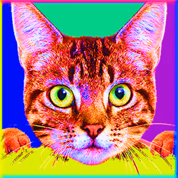 88960586343788958426741174802939624374750119757838653668849978254361259671561