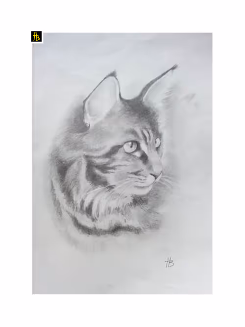 Item #74885386125841679683657863817676557915419392690100599251571086967081334210561 Media