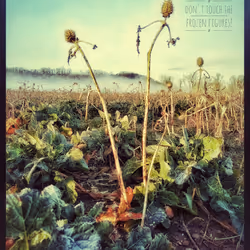 3787080761074609709675817509753112159059746763483256848434353577587617300481