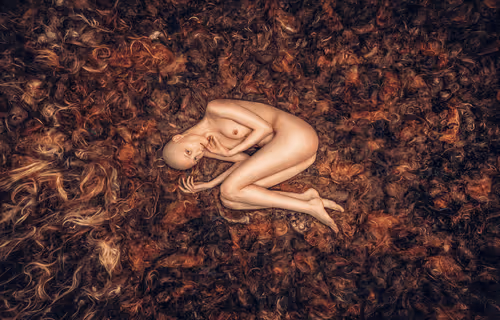 Item #69000201197487925391919563529381127399821599199936366279529444486798098038785 Media