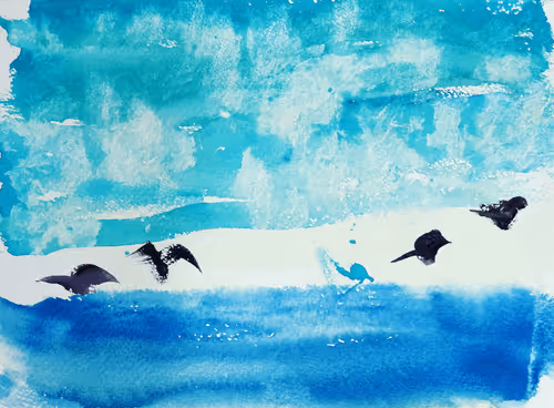 Untitled Collection #534229606