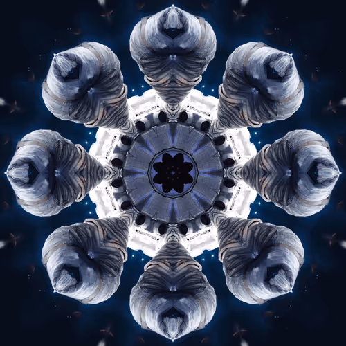 Item #99012478051835183477750019246836192875232585054078170864253743172025789186049 Media