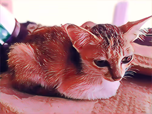 Item #74122138759525378795667626270866148487737655975912799548892275159933590175745 Media