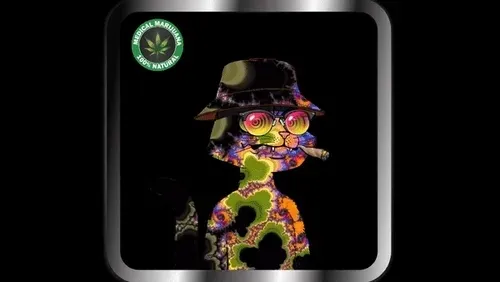 Item #38106924255229388326176120348145397694890164304354486214296843303779999679464 Media