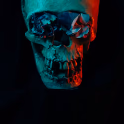 Vanitas