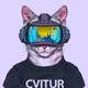 13751147394386013648567304239052337906054867232861843279239646736861120954369