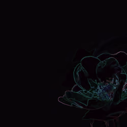 NFT flower