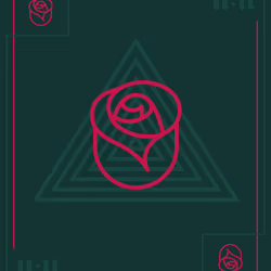 11:11 Oracle Collection: The Rose Card