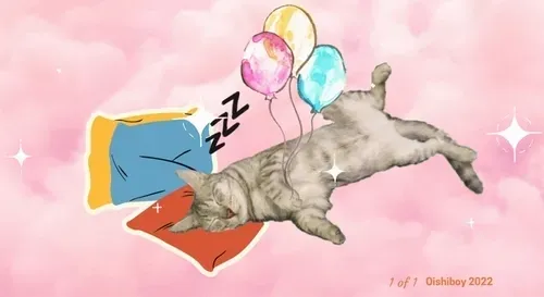 Twinkle twinkle little cat