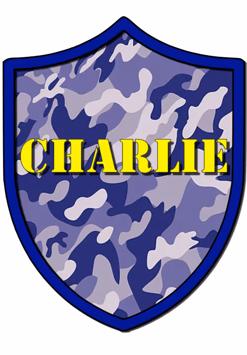 Item #98788858280435980205088456628036807215220664032507503028741618520754246123521 Media