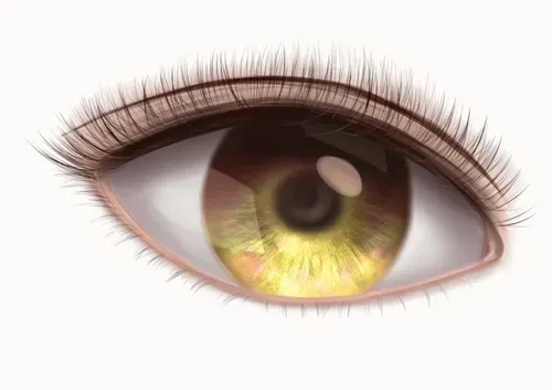 Item #42950694591796666568266939449637019646211598636303907727097118080399174533121 Media