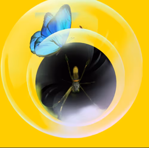 Item #45007843028763219282821397747561657387547109683245753158344353206343586283521 Media