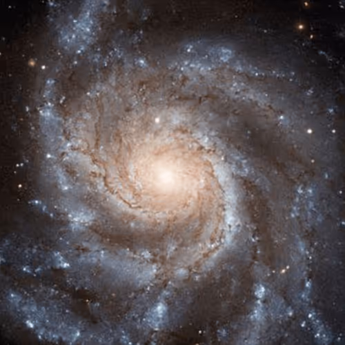 Item #39629935389522237345664437028542438492977381533873015043488418122297606406151 Media