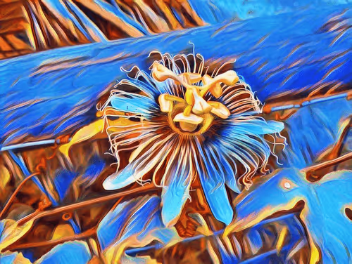 Item #24515379016287833430110687259411372809394655166763807580583558369765564088321 Media