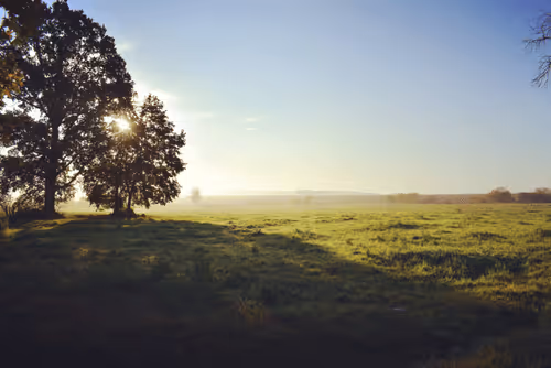 Item #25048395052866519615583306303043483840076282884633851044387431711381525626881 Media