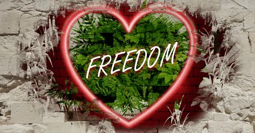 Item #68053287575525751288269231675427811746861684968250582901590729395720555593738 Media