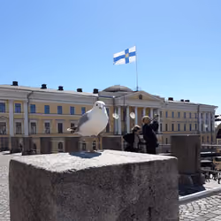 exploring Helsinki