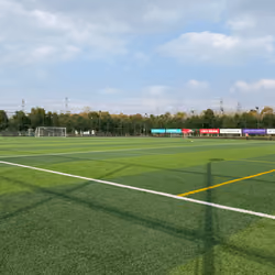 football field