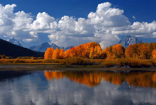 Item #16169064393399629467859942900905405490006492366557123064973208587820442058753 Media