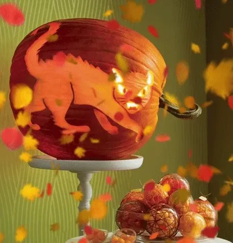 15081463501546268006596121588316872326209313817998412847676536868638294016001