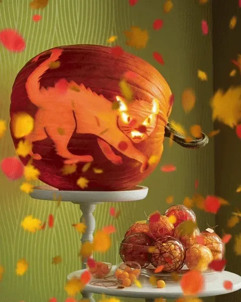 Item #15081463501546268006596121588316872326209313817998412847676536868638294016001 Media