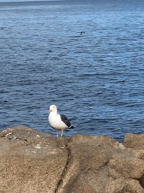 Item #68992994871678840230737782920192836034454221596587270053419323759269750243329 Media