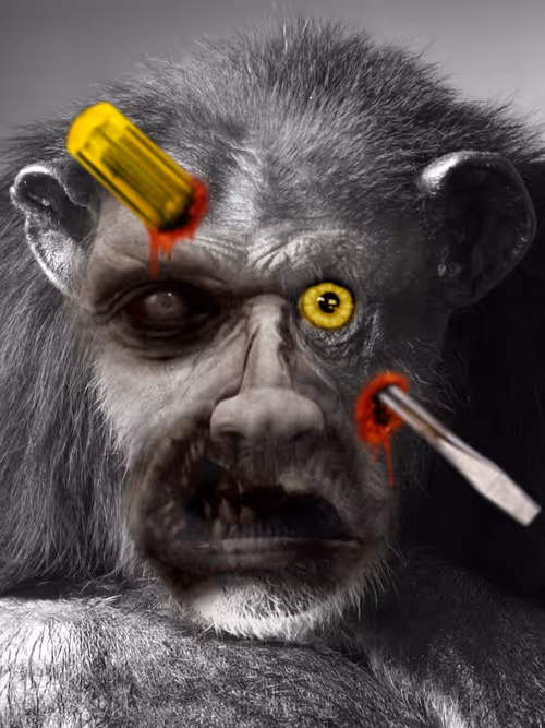 Item #58260198782654195468413891163652142906828885851206301776881640295667404374017 Media