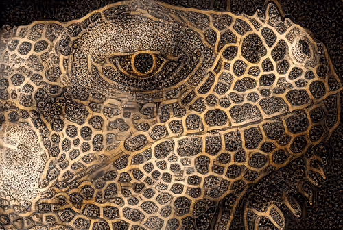 Tales of the Golden Lizard