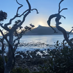 Tintswalo Tranquil