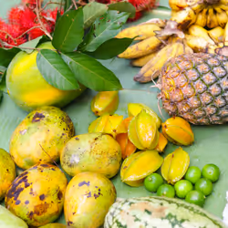 21218919643484846679386017214105436286474954155539936946797714250129244946442