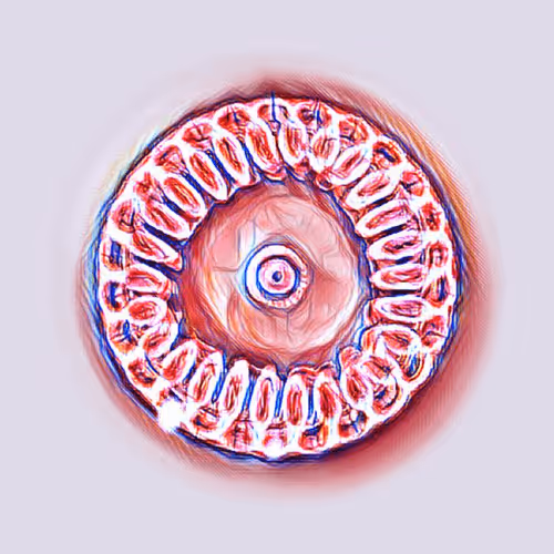 Item #76890309982572414559524539652653274915372995696638965878349557295634058313729 Media