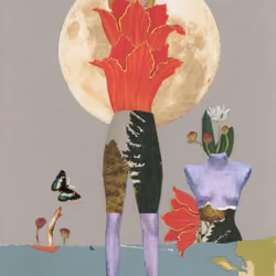 Full moon